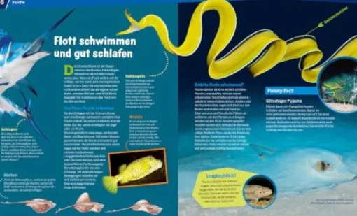 Tessloff WAS IST WAS - Entdecke die Tierwelt | Teddy Toys Kinderwelt